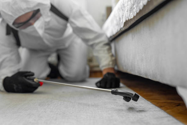 Professional Termite Control technician working in Oxnard, CA
