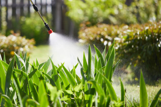 24/7 Emergency Termite Control experts in Oxnard, CA
